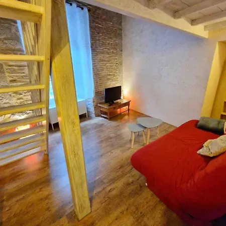 Joli Avec Charme Appartement Cahors