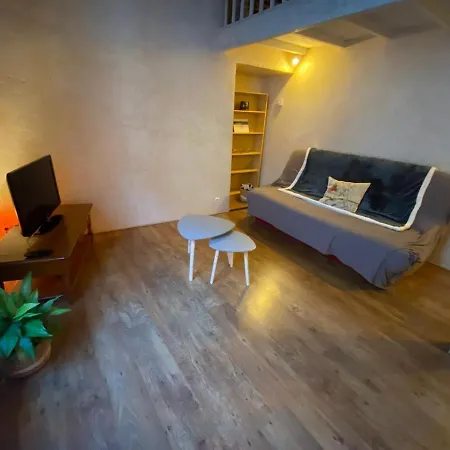 Apartment Joli Avec Charme Cahors